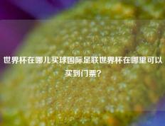 世界杯在哪儿买球国际足联世界杯在哪里可以买到门票？