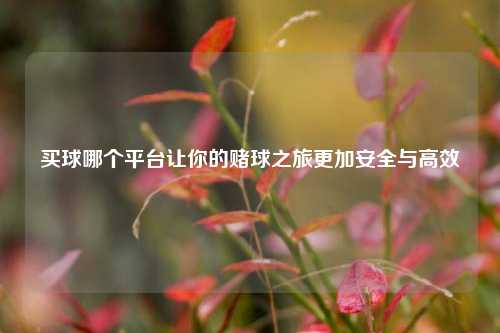 买球哪个平台让你的赌球之旅更加安全与高效