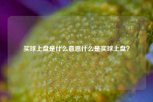 买球上盘是什么意思什么是买球上盘？