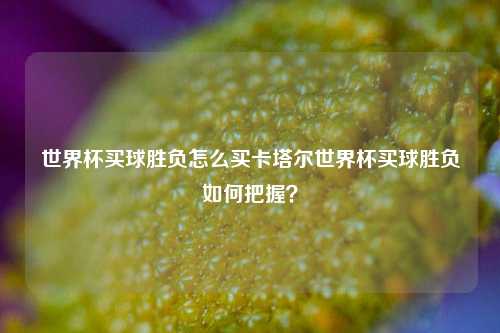 世界杯买球胜负怎么买卡塔尔世界杯买球胜负如何把握？