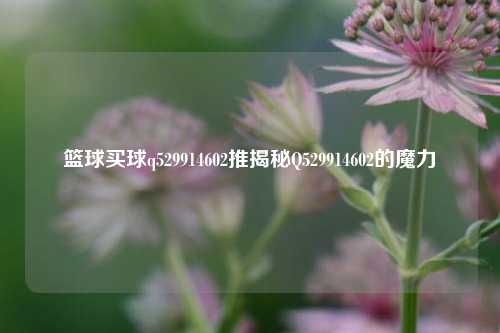 篮球买球q529914602推揭秘Q529914602的魔力
