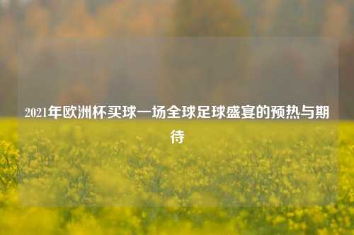 2021年欧洲杯买球一场全球足球盛宴的预热与期待