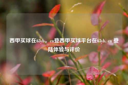 西甲买球在63yb。cn登西甲买球平台在63yb. cn 登陆体验与评价
