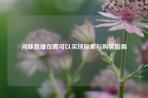 河豚直播在哪可以买球探索与购买指南
