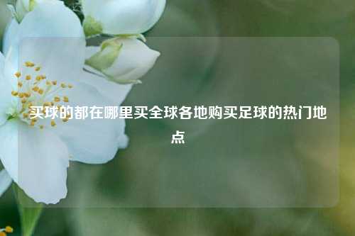 买球的都在哪里买全球各地购买足球的热门地点