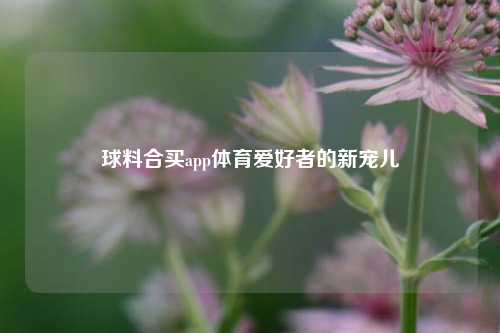 球料合买app体育爱好者的新宠儿