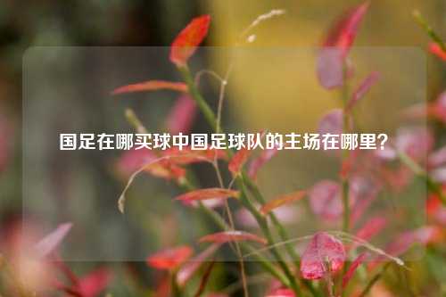 国足在哪买球中国足球队的主场在哪里？