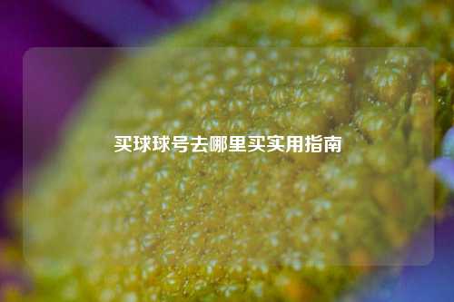 买球球号去哪里买实用指南