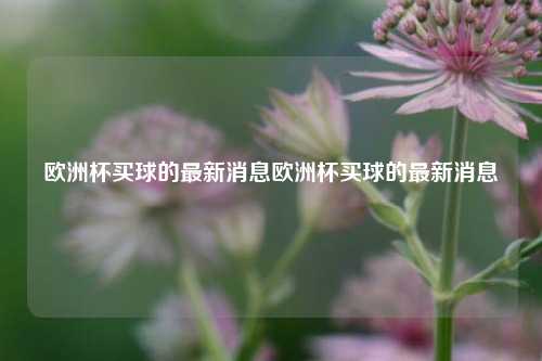 欧洲杯买球的最新消息欧洲杯买球的最新消息