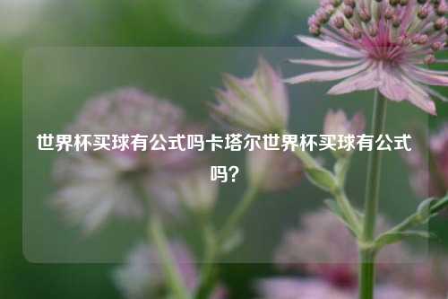 世界杯买球有公式吗卡塔尔世界杯买球有公式吗？