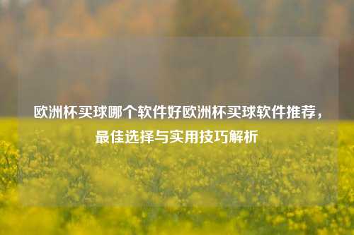 欧洲杯买球哪个软件好欧洲杯买球软件推荐，最佳选择与实用技巧解析
