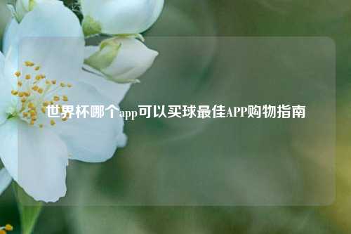 世界杯哪个app可以买球最佳APP购物指南