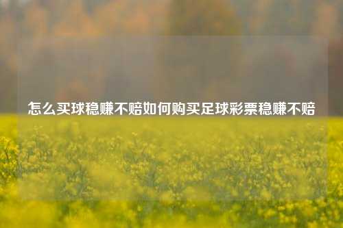 怎么买球稳赚不赔如何购买足球彩票稳赚不赔