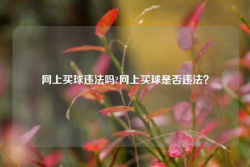 网上买球违法吗?网上买球是否违法？
