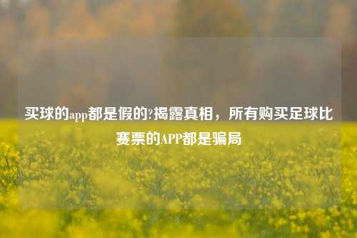买球的app都是假的?揭露真相，所有购买足球比赛票的APP都是骗局