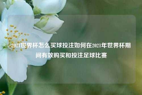 2021世界杯怎么买球投注如何在2021年世界杯期间有效购买和投注足球比赛
