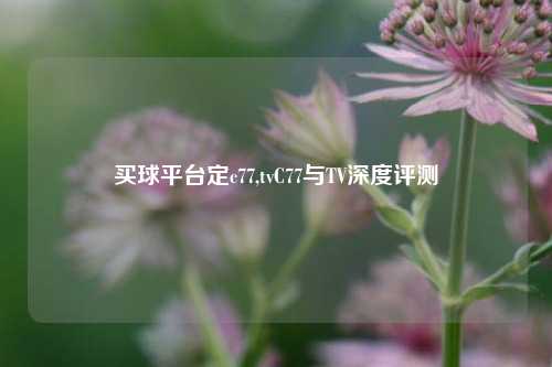 买球平台定c77,tvC77与TV深度评测