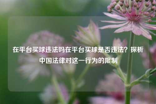 在平台买球违法吗在平台买球是否违法？探析中国法律对这一行为的限制