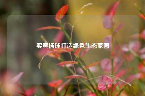 买黄杨球打造绿色生态家园