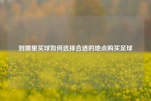 到哪里买球如何选择合适的地点购买足球