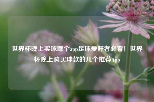 世界杯晚上买球哪个app足球爱好者必看！世界杯晚上购买球款的几个推荐App