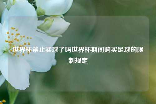 世界杯禁止买球了吗世界杯期间购买足球的限制规定