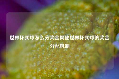 世界杯买球怎么分奖金揭秘世界杯买球的奖金分配机制