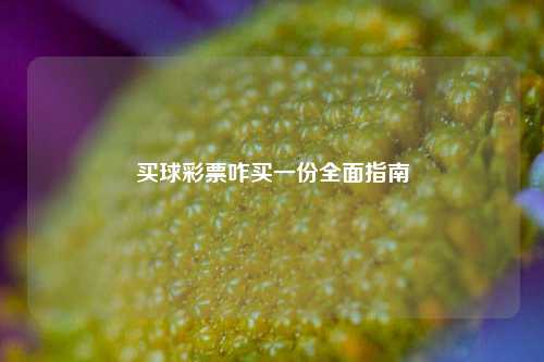 买球彩票咋买一份全面指南