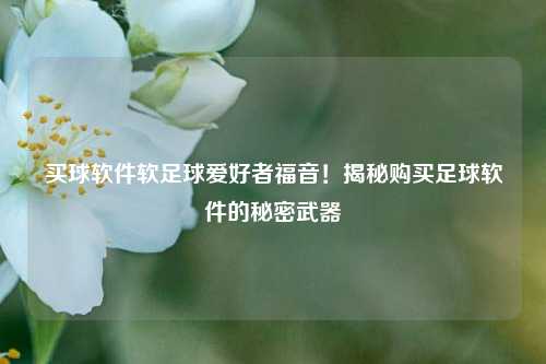 买球软件软足球爱好者福音！揭秘购买足球软件的秘密武器