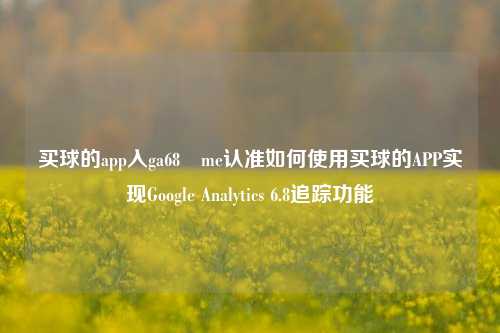买球的app入ga68婰me认准如何使用买球的APP实现Google Analytics 6.8追踪功能