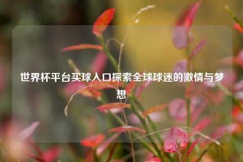 世界杯平台买球入口探索全球球迷的激情与梦想