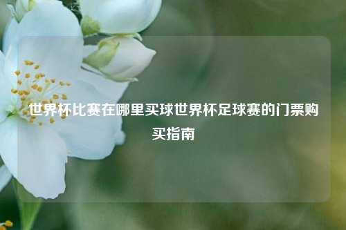 世界杯比赛在哪里买球世界杯足球赛的门票购买指南