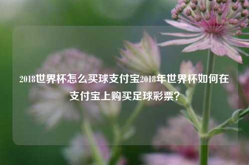 2018世界杯怎么买球支付宝2018年世界杯如何在支付宝上购买足球彩票？