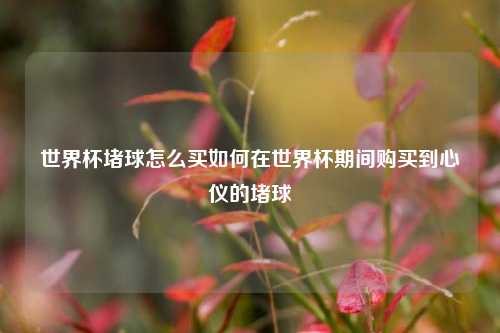 世界杯堵球怎么买如何在世界杯期间购买到心仪的堵球