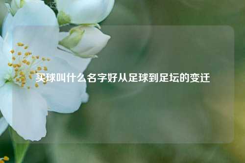 买球叫什么名字好从足球到足坛的变迁