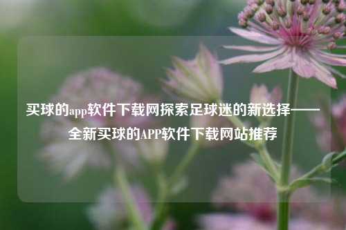 买球的app软件下载网探索足球迷的新选择——全新买球的APP软件下载网站推荐