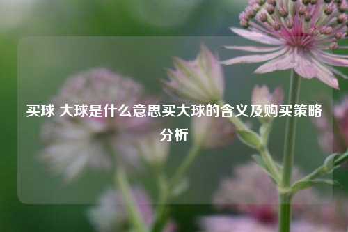 买球 大球是什么意思买大球的含义及购买策略分析