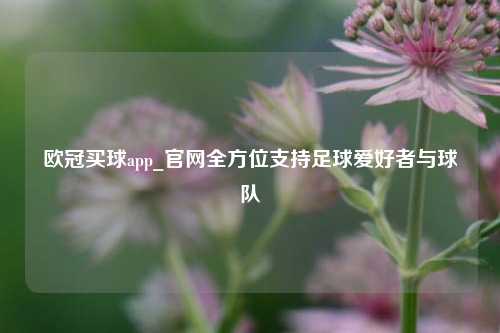 欧冠买球app_官网全方位支持足球爱好者与球队