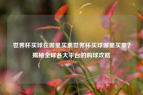 世界杯买球在哪里买票世界杯买球哪里买票？揭秘全球各大平台的购球攻略